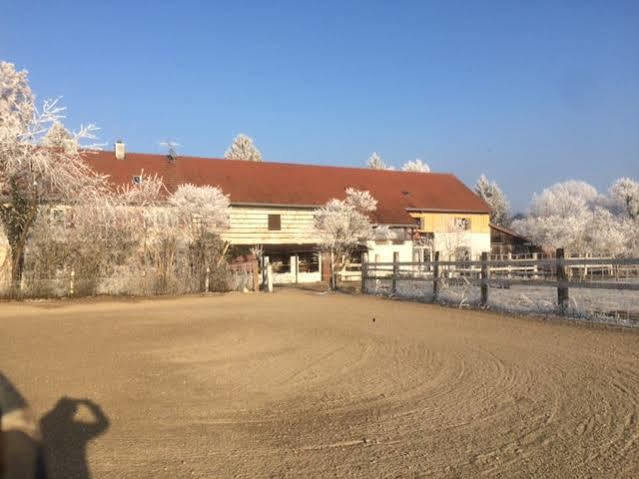 Airport Hostel 哈尔伯格摩斯 外观 照片